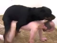 A mature man is content with his black mutt.